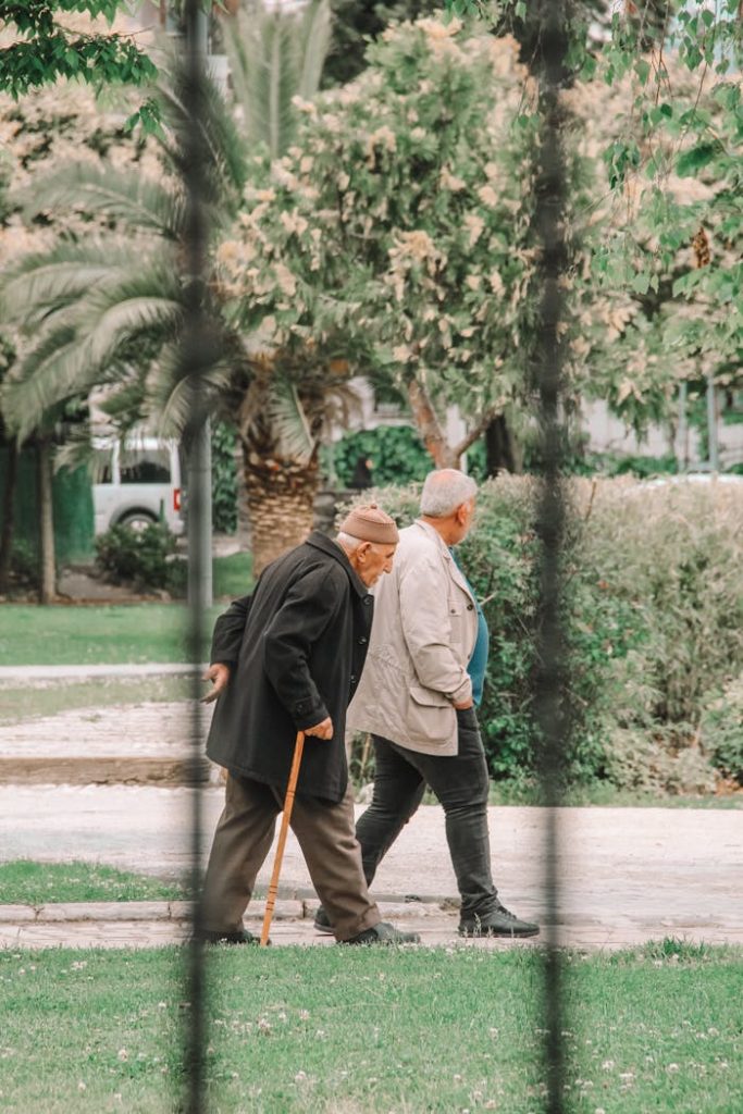 elderly-men-strolling-in-park-16977430 Elderly Men Strolling in Park